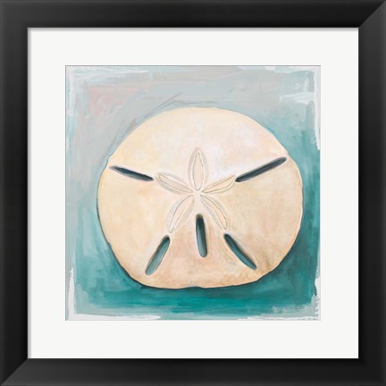 Framed Sand Dollar on Teal Print