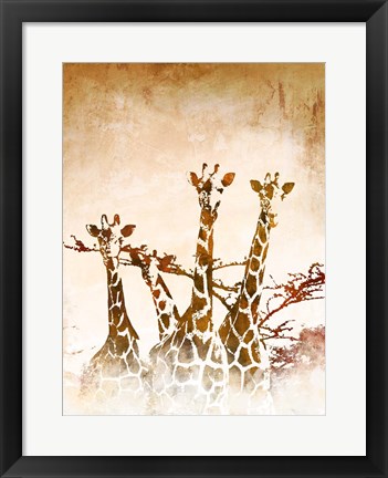 Framed Safari Giraffe II Print