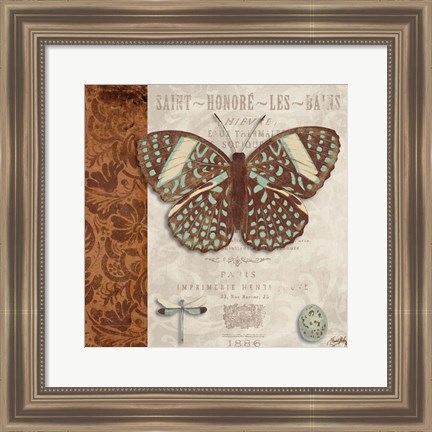 Framed Butterfly on Display I Print