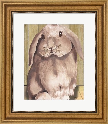 Framed Bunny II Print