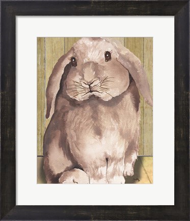 Framed Bunny II Print