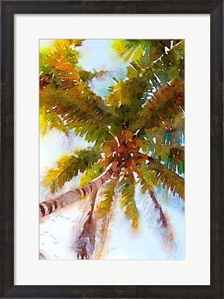 Framed Watercolor Palms II Print