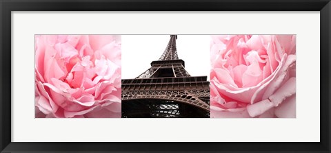 Framed Pink Roses Eiffel Tower Print