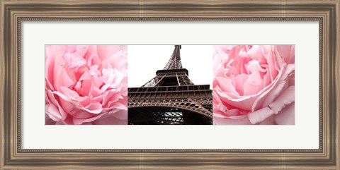 Framed Pink Roses Eiffel Tower Print