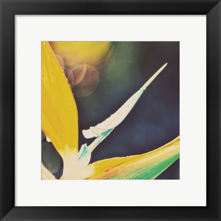 Framed Tropical Floral I Print