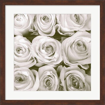 Framed Rose in Bloom Square Print