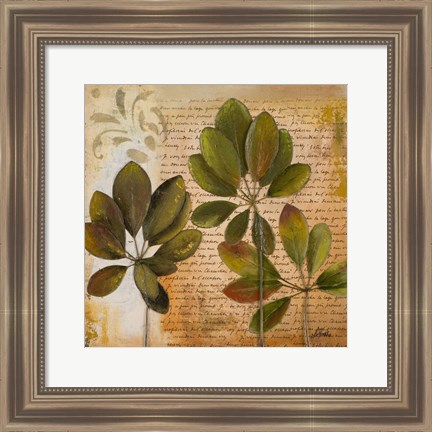 Framed Botanica I Print