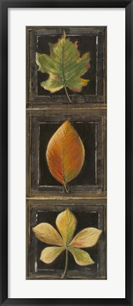 Framed Three Leaves II Print