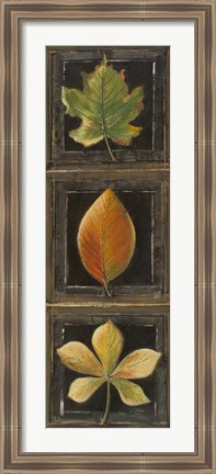Framed Three Leaves II Print