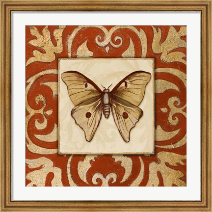 Framed Moroccan Butterfly II Print