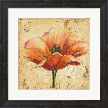 Framed Poppy III Print