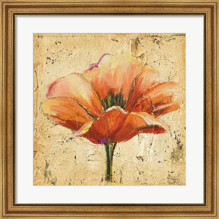 Framed Poppy III Print