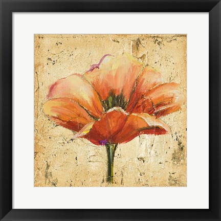 Framed Poppy III Print