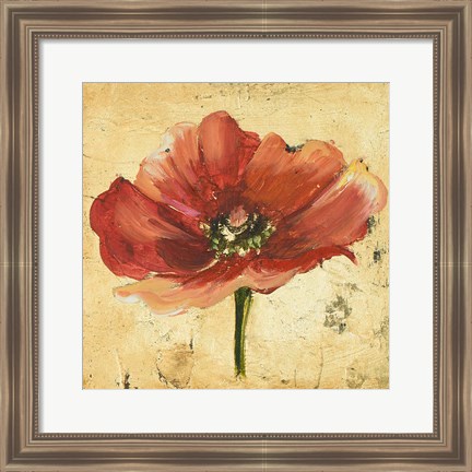 Framed Poppy IV Print