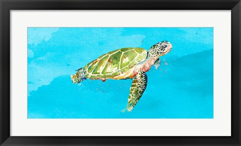 Framed Green Turtle on Light Blue Print