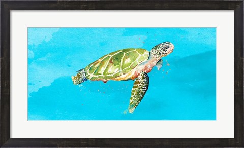 Framed Green Turtle on Light Blue Print