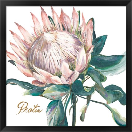 Framed Protea I Print