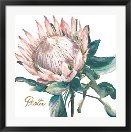 Framed Protea I Print