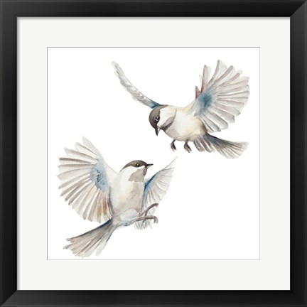 Framed Isolated Birds Print