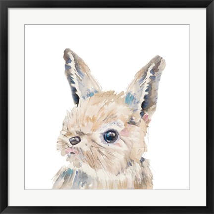 Framed Baby Bunny Close Up Print