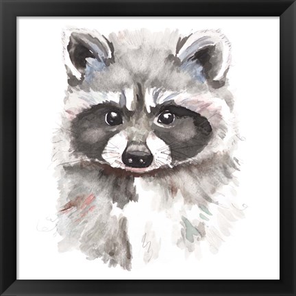 Framed Baby Raccoon Print