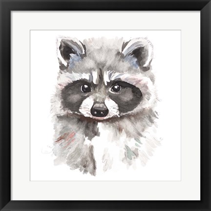 Framed Baby Raccoon Print