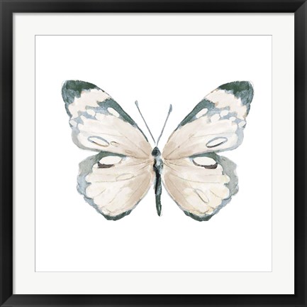 Framed Steady Wings III Print