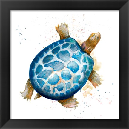 Framed Tortuga Azul Square Print