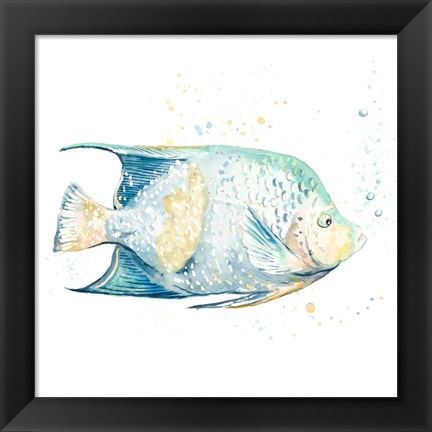 Framed Pescado Azul Square Print