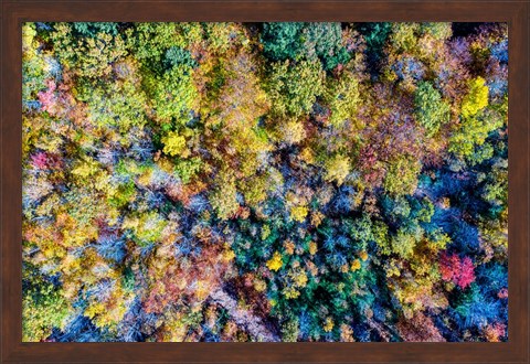 Framed Aerial Fall Trees Print