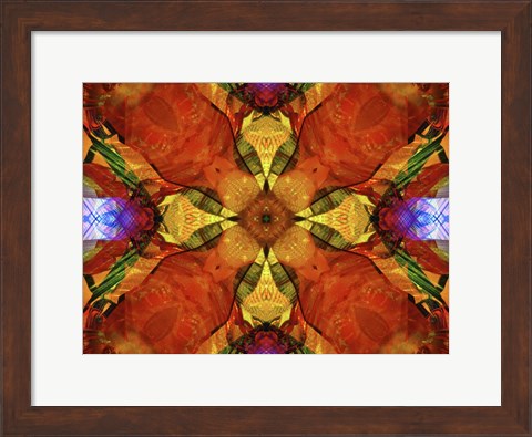 Framed Colorful Kaleidoscope 10 Print