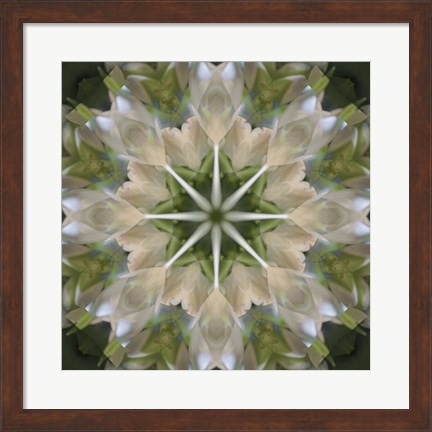 Framed Colorful Kaleidoscope 5 Print