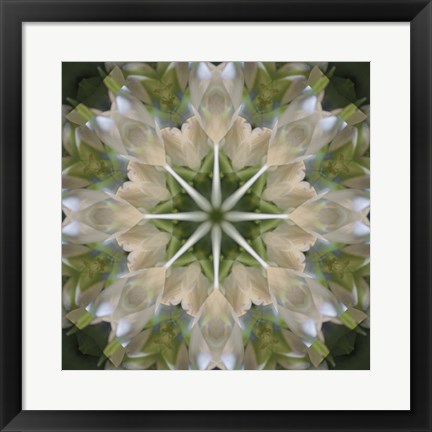 Framed Colorful Kaleidoscope 5 Print