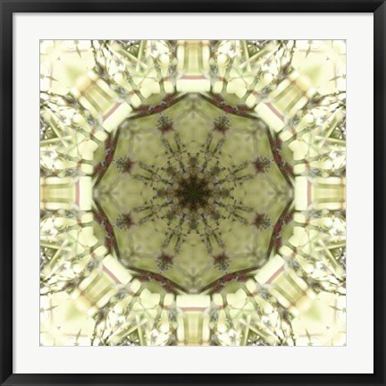 Framed Colorful Kaleidoscope 13 Print