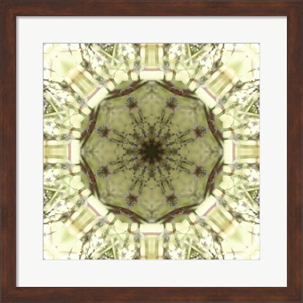 Framed Colorful Kaleidoscope 13 Print