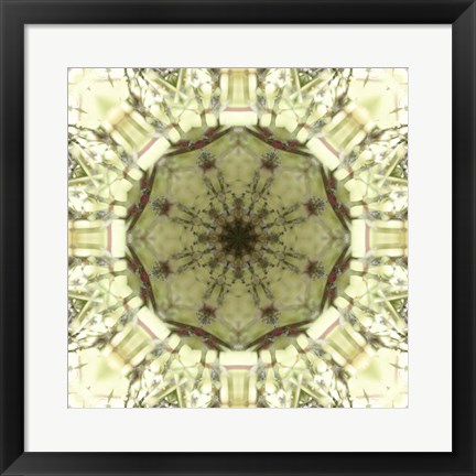 Framed Colorful Kaleidoscope 13 Print