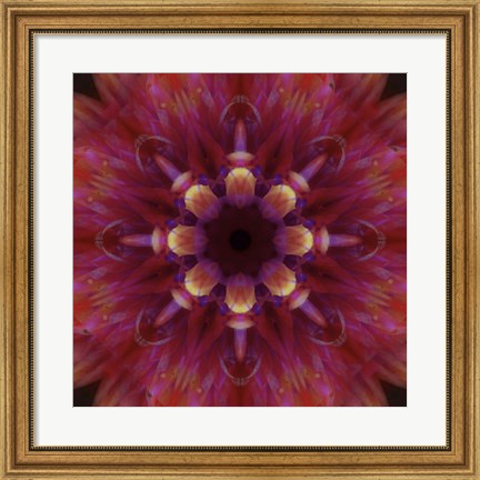 Framed Colorful Kaleidoscope 14 Print