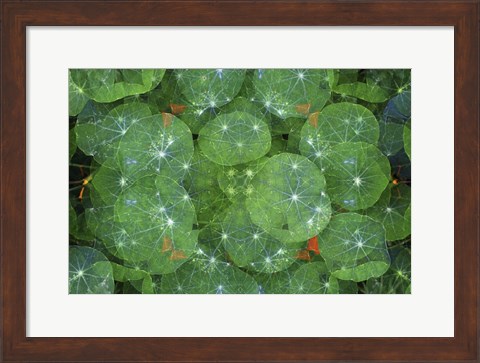 Framed Colorful Kaleidoscope 16 Print
