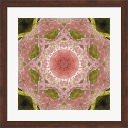 Framed Colorful Kaleidoscope 20 Print