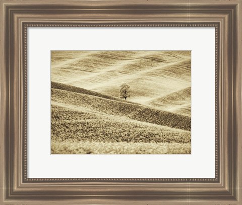 Framed Infrared of Lone Tree in Wheat Field 2 Print