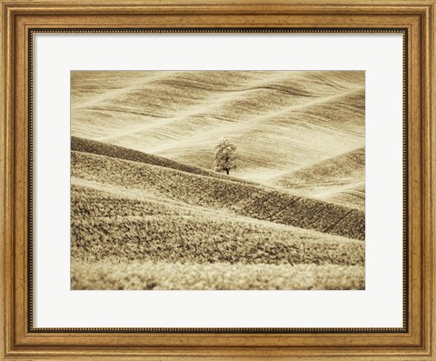 Framed Infrared of Lone Tree in Wheat Field 2 Print