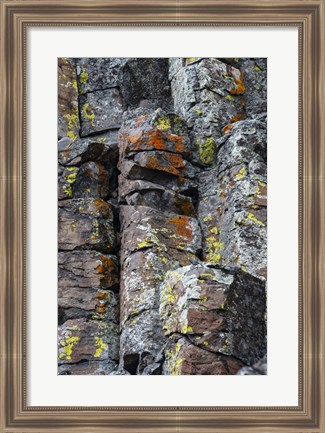 Framed Sheepeater Cliffs Detail, Yellowstone National Park Print