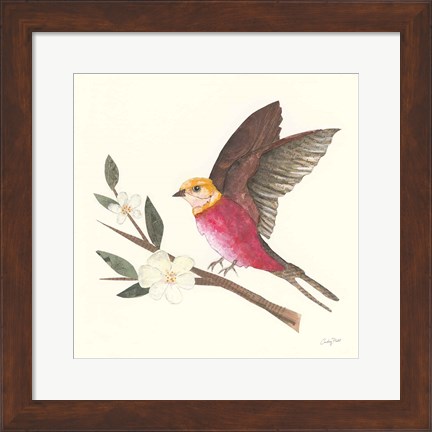 Framed Birds and Blossoms IV Print