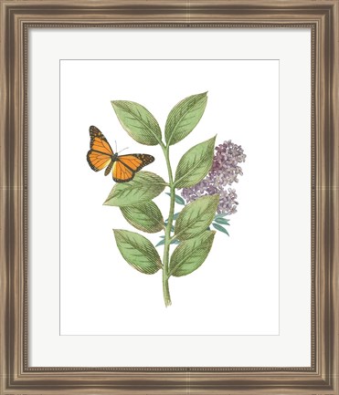 Framed Greenery Butterflies III Print