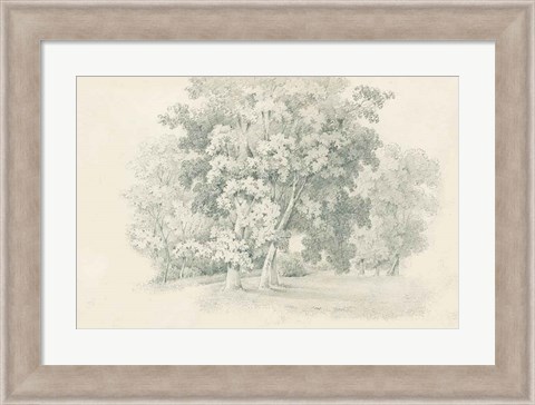 Framed Edge of the Woods Sketch Print