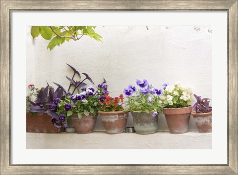 Framed Attractive Flowers In Clay Pots Print