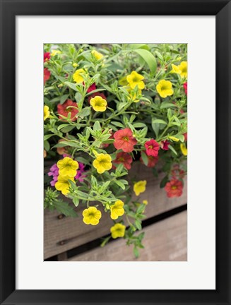 Framed Yellow And Red Million Bells Print