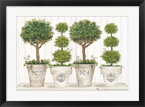 Framed Topiary Still Life Print