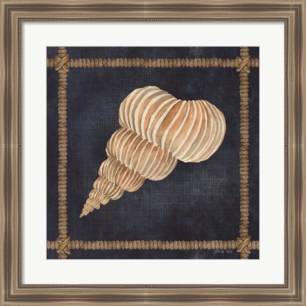 Framed Seashell on Navy III Print