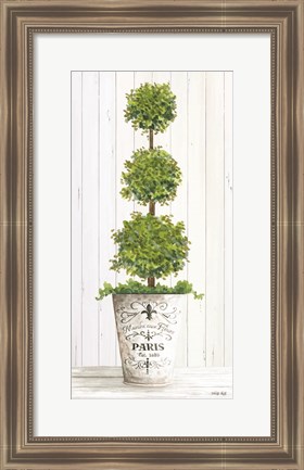 Framed Topiary Paris Print